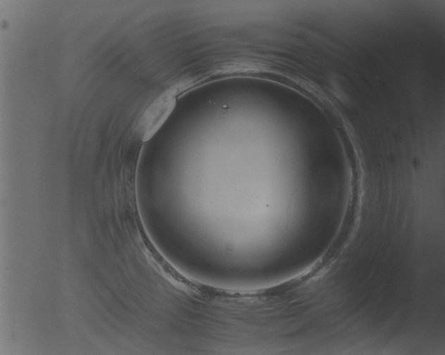 X0000053071337200507181616