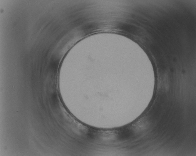 X0000053071338200507181616