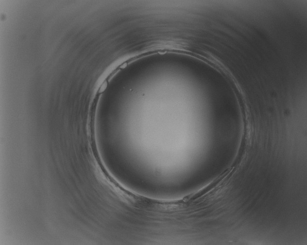 X0000053071339200507181616