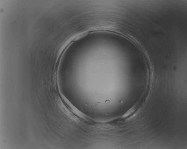 X0000053071340200507181616