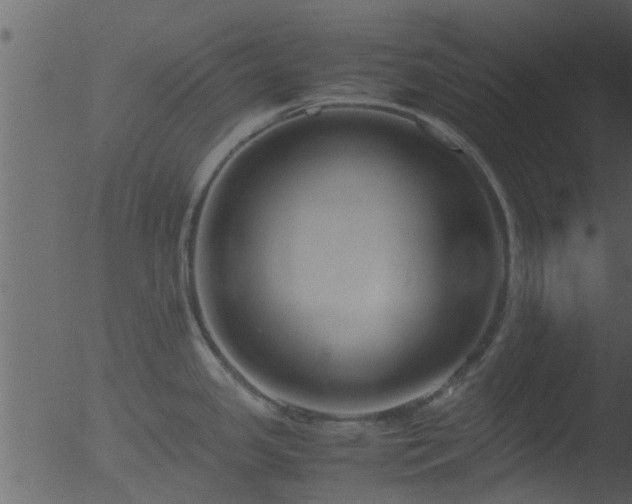 X0000053071341200507181616