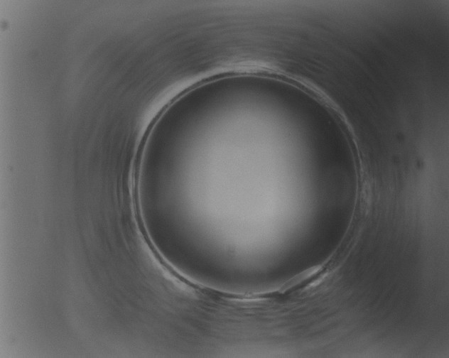 X0000053071343200507181616