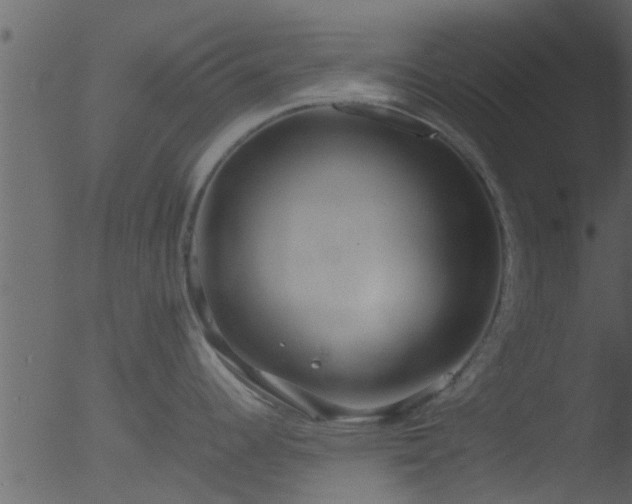 X0000053071344200507181616