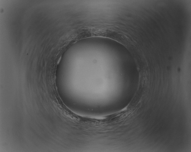 X0000053071345200507181615