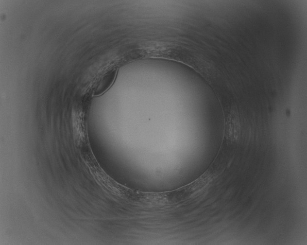 X0000053071346200507181615