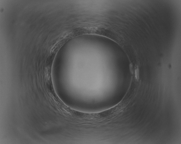 X0000053071347200507181615