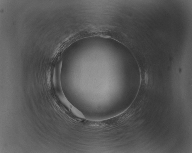 X0000053071348200507181615