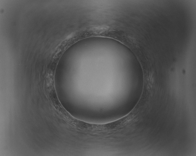 X0000053071349200507181615