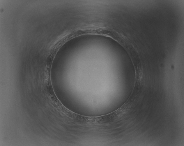 X0000053071350200507181615