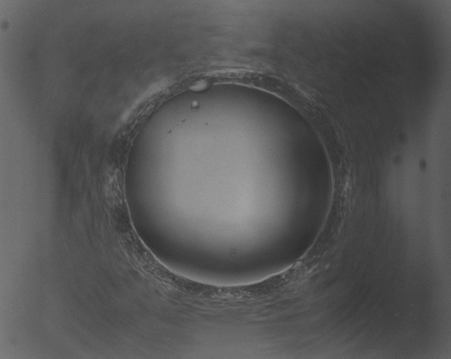 X0000053071351200507181615