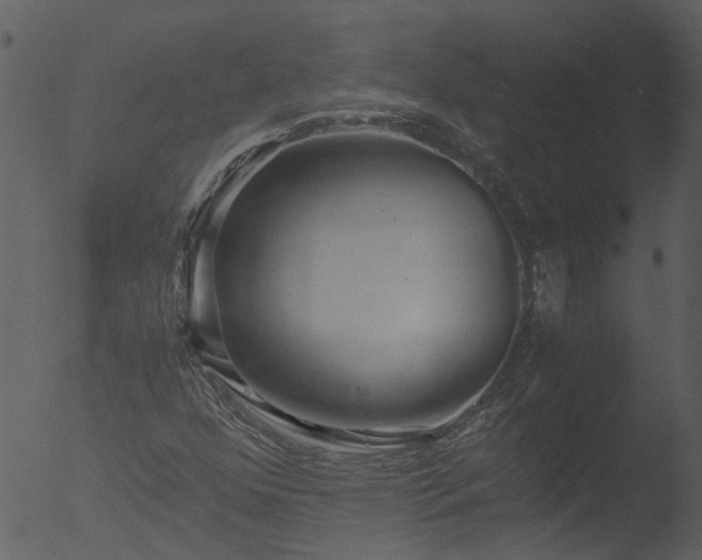 X0000053071352200507181615