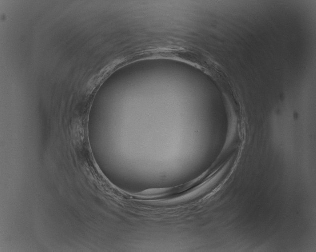 X0000053071353200507181615