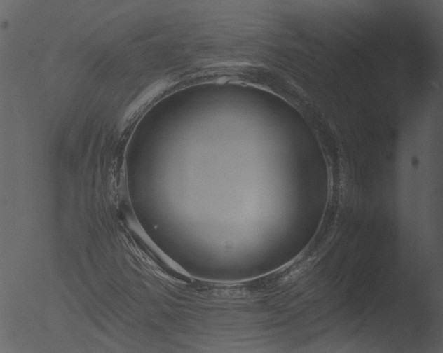 X0000053071354200507181615