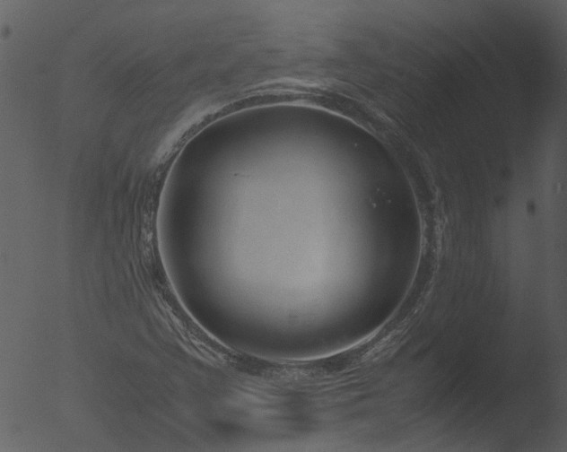 X0000053071355200507181615