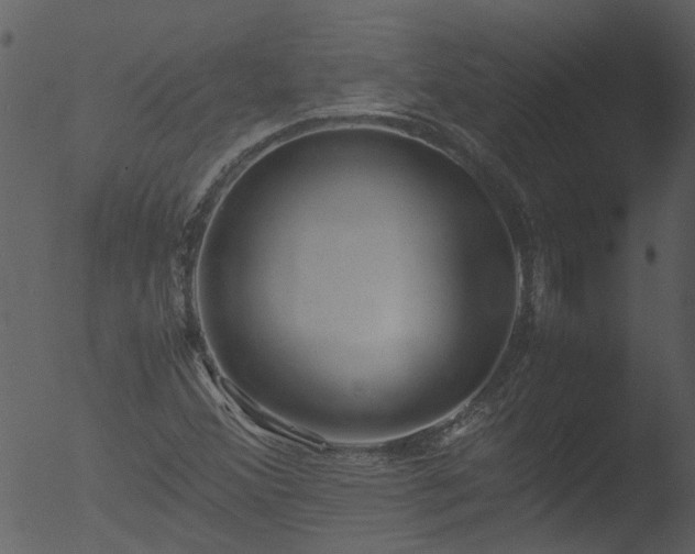 X0000053071356200507181615