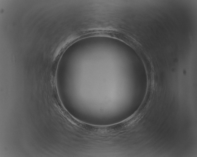 X0000053071357200507181615