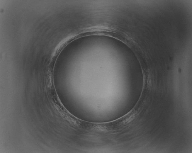 X0000053071358200507181615