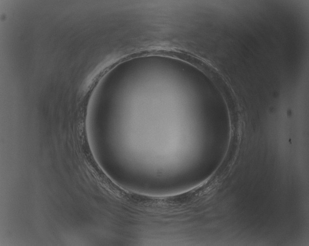 X0000053071359200507181615