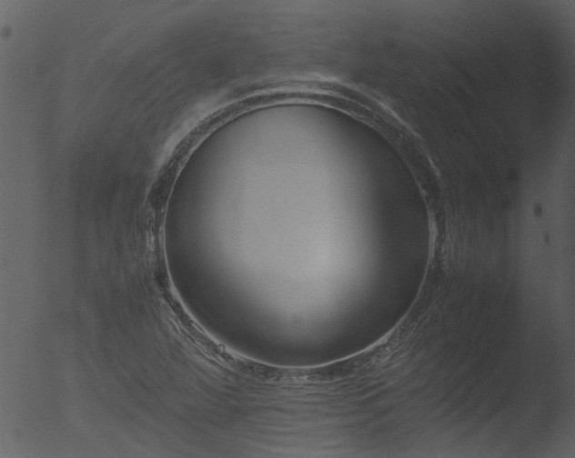 X0000053071360200507181615