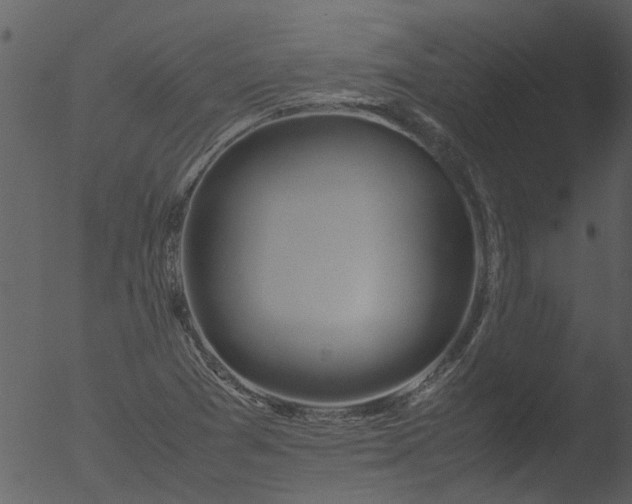 X0000053071361200507181615