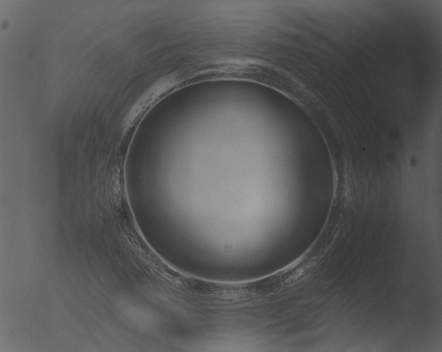 X0000053071362200507181615