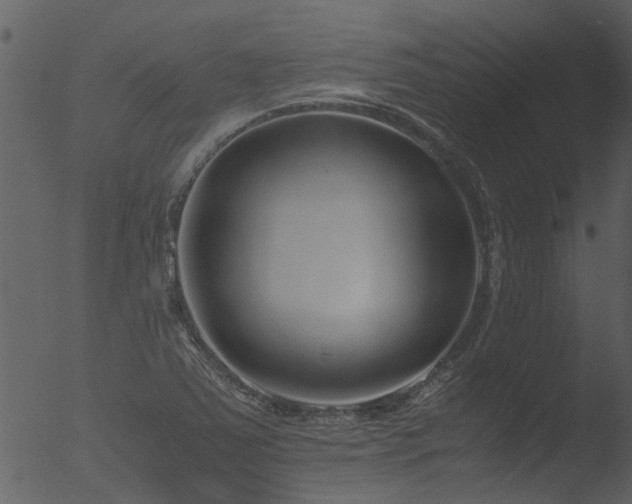 X0000053071363200507181615