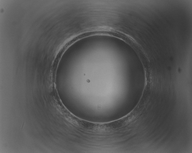 X0000053071364200507181615