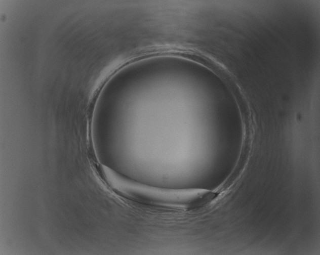 X0000053071365200507181615