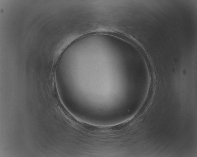 X0000053071367200507181615