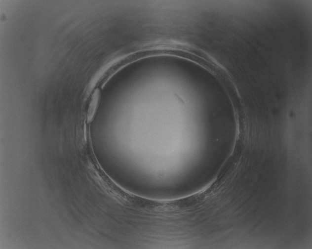 X0000053071368200507181615