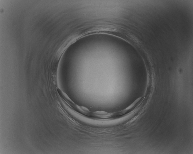 X0000053071369200507181615