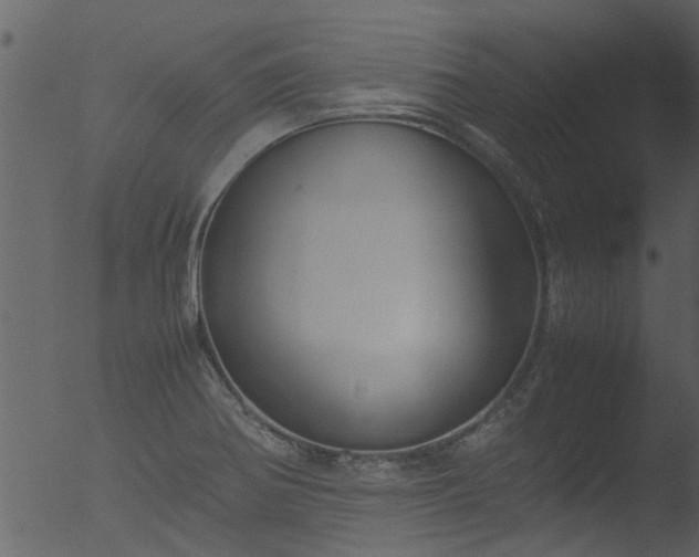 X0000053071370200507181615