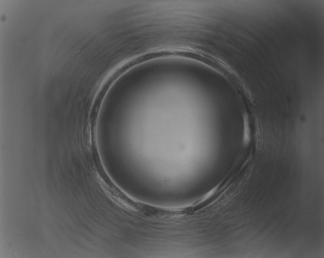 X0000053071372200507181615