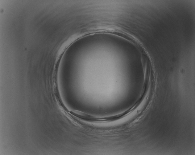 X0000053071373200507181615