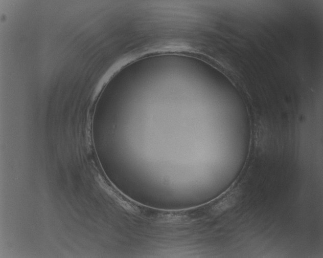 X0000053071374200507181615