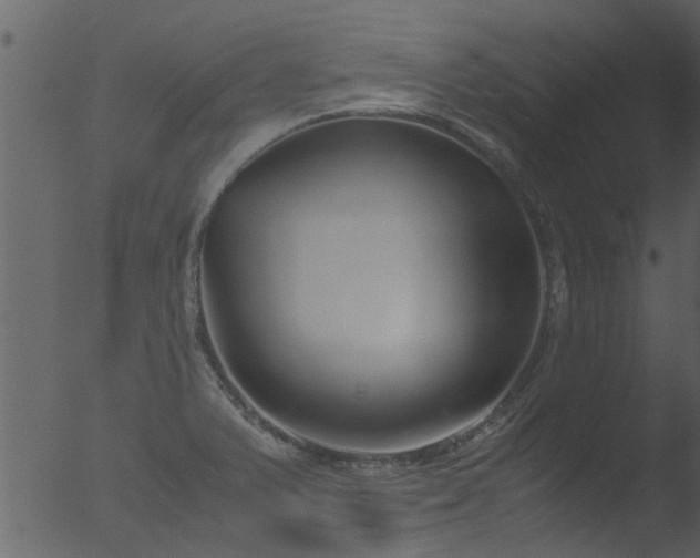 X0000053071375200507181615