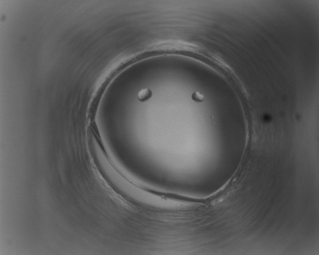 X0000053071376200507181615