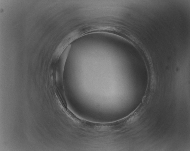 X0000053071377200507181615