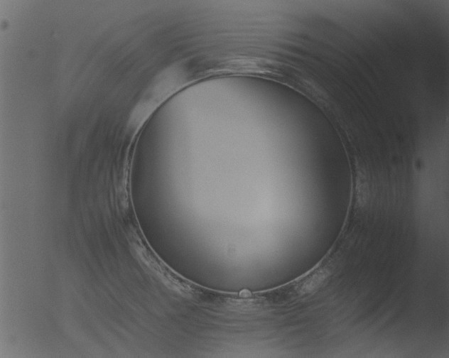 X0000053071378200507181615