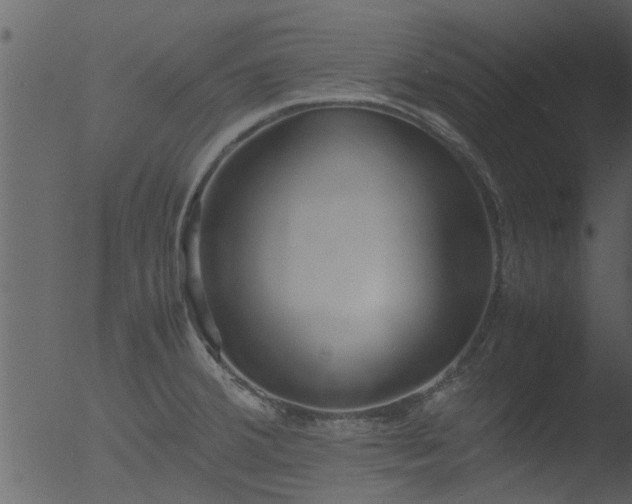 X0000053071380200507181615