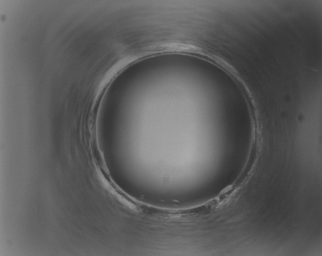 X0000053071381200507181615