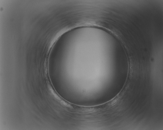 X0000053071382200507181615