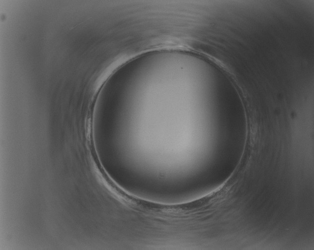 X0000053071383200507181615