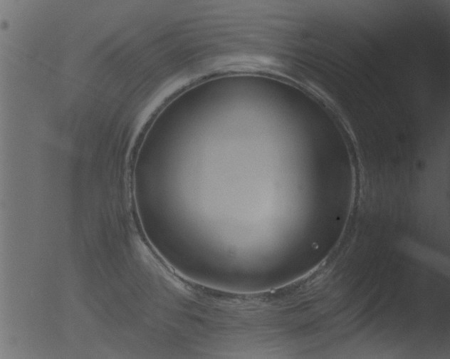 X0000053071384200507181615