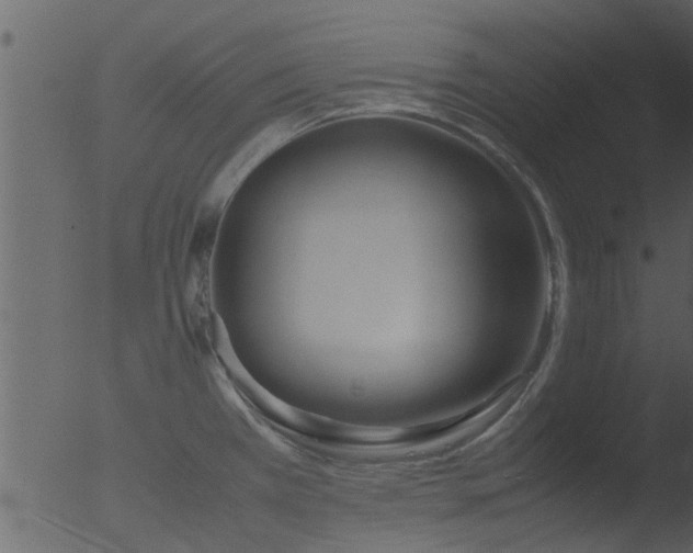 X0000053071385200507181615