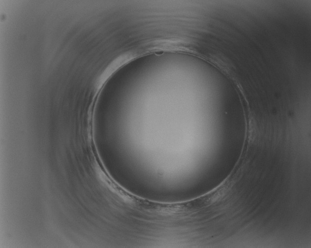 X0000053071386200507181615