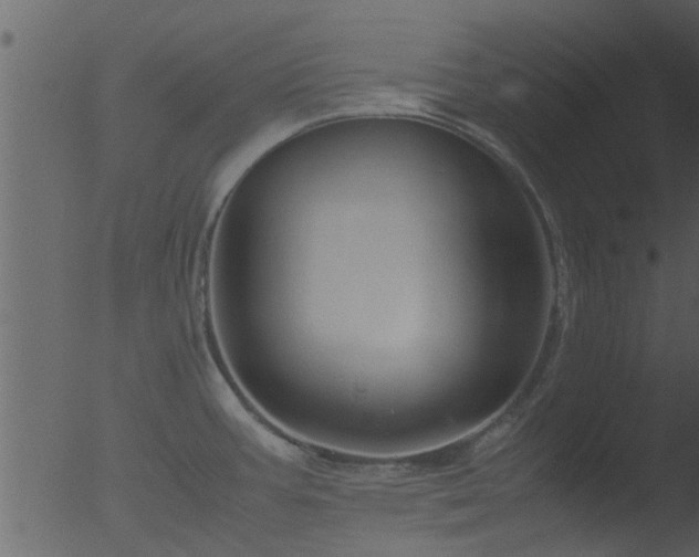 X0000053071387200507181615