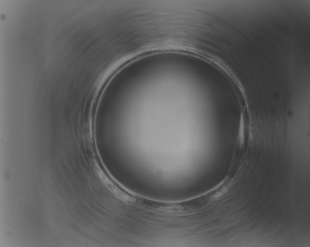 X0000053071388200507181615