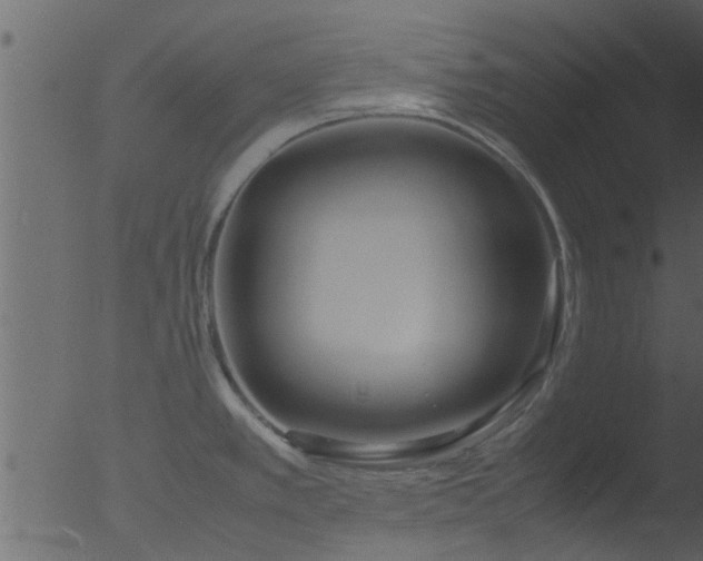 X0000053071389200507181615