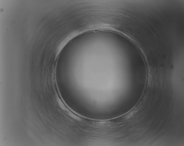 X0000053071390200507181615